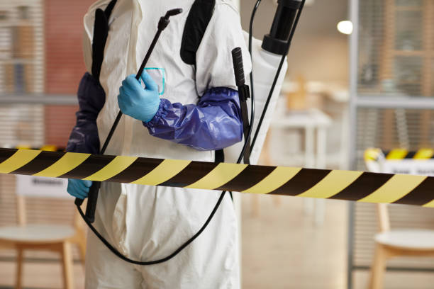 Professional Sewage Cleanup technician working in Folly Beach, SC